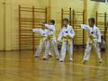 Taekwondo 28.jpg